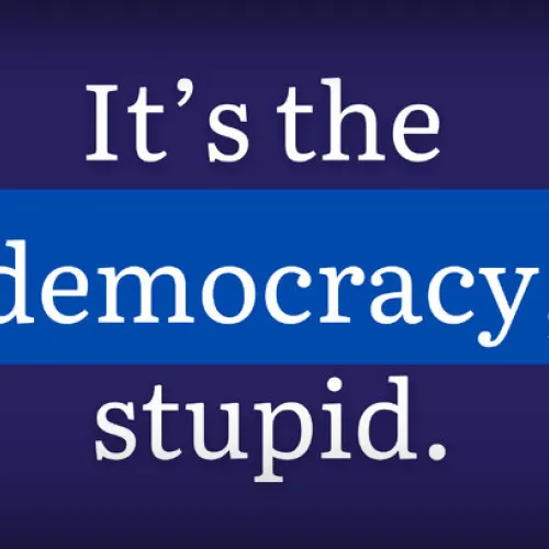 It's the Democracy Stupid logo