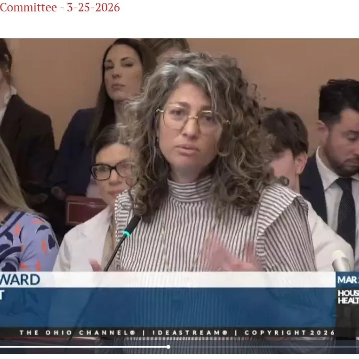 Dana Howard testifying