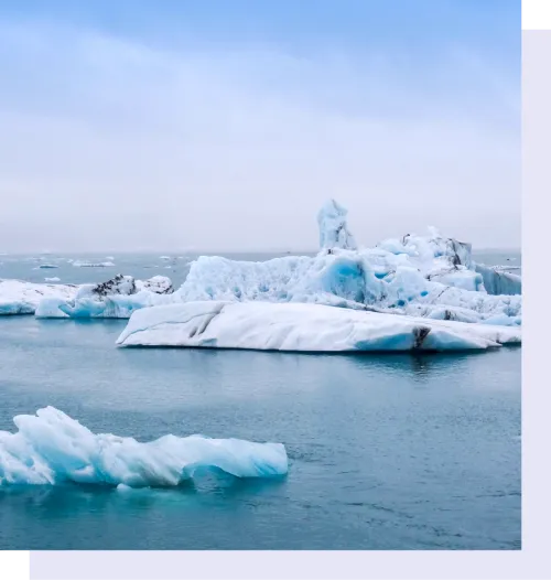 icebergs