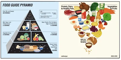 Food Pyramid Comparison