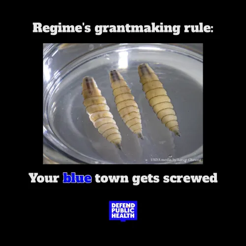 Photo of screwworm in a petri dish that says "regime's grantmaking rule, your Blue town gets screwed" with the Defend Public Health logo